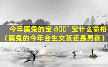 今年属兔的宝 🐯 宝什么命格（属兔的今年会生女孩还是男孩）